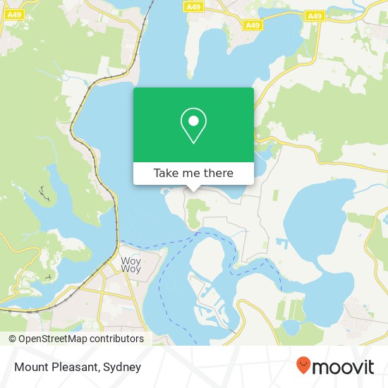 Mapa Mount Pleasant