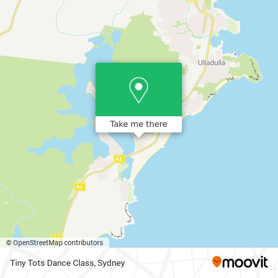 Tiny Tots Dance Class map