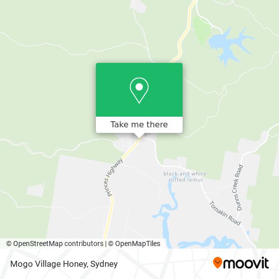 Mogo Village Honey map