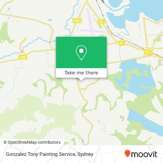 Gonzalez Tony Painting Service map