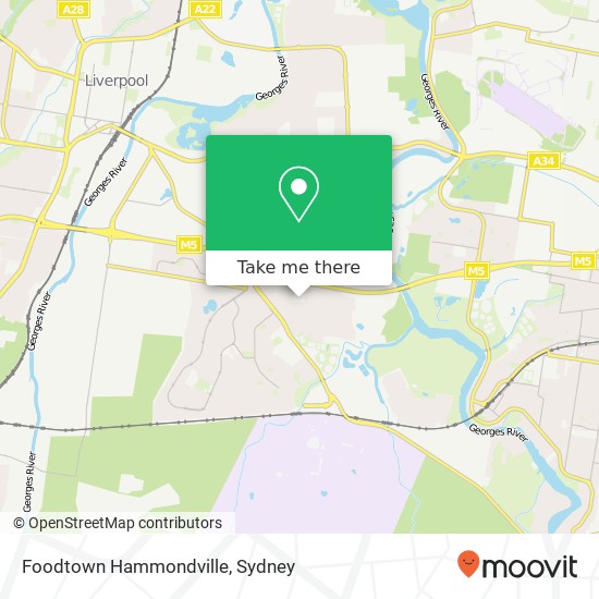 Foodtown Hammondville map