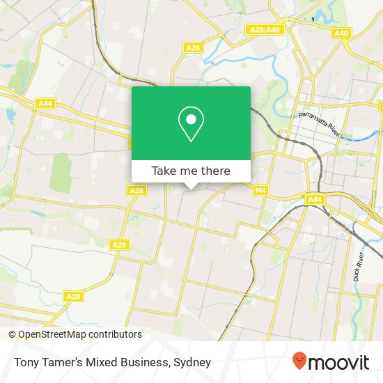 Tony Tamer's Mixed Business map