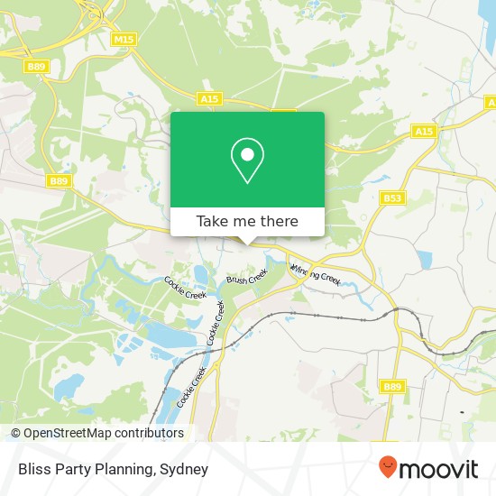 Bliss Party Planning map