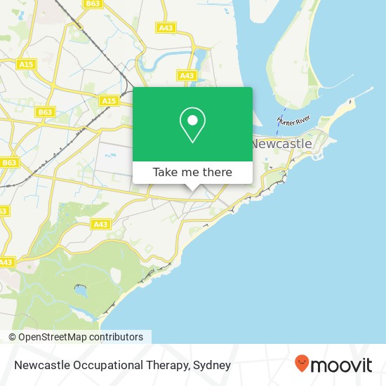 Mapa Newcastle Occupational Therapy