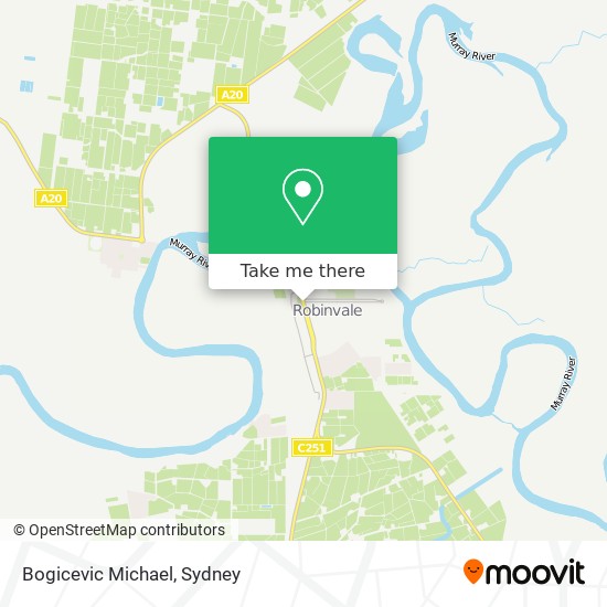 Bogicevic Michael map