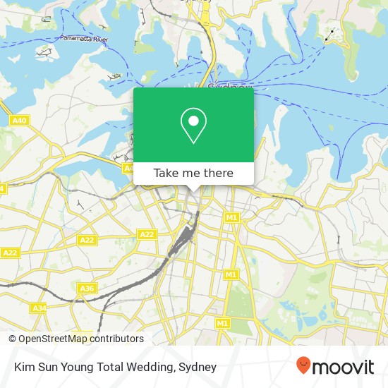 Mapa Kim Sun Young Total Wedding