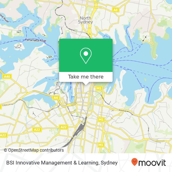 BSI Innovative Management & Learning map