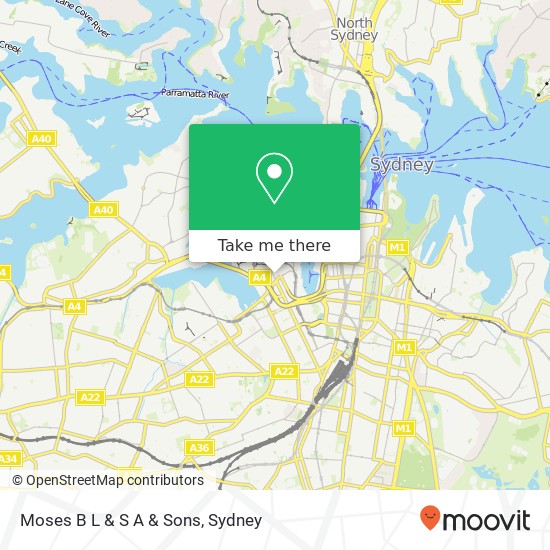 Mapa Moses B L & S A & Sons