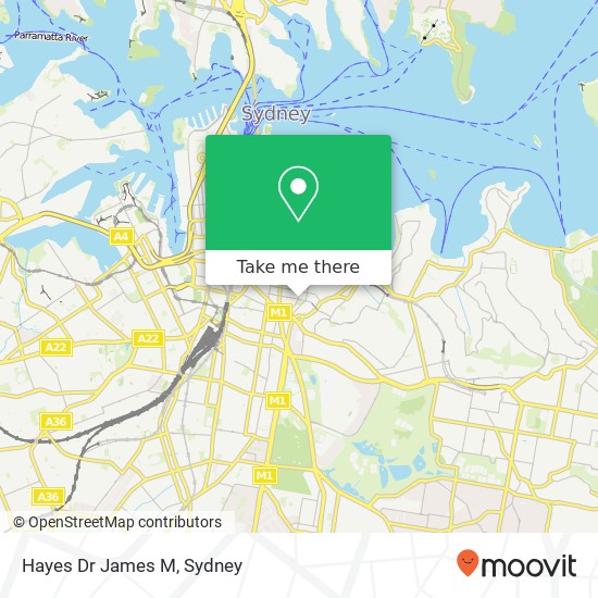 Hayes Dr James M map