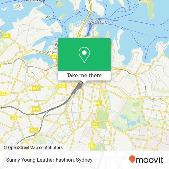 Sunny Young Leather Fashion map