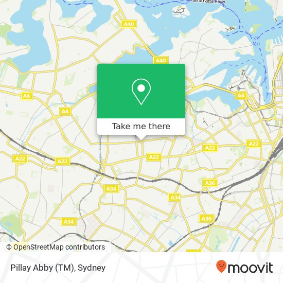 Mapa Pillay Abby (TM)