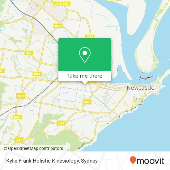 Kylie Frank Holistic Kinesiology map