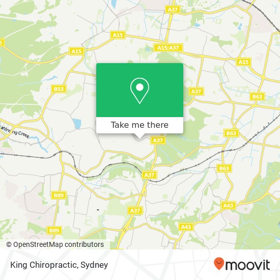 King Chiropractic map