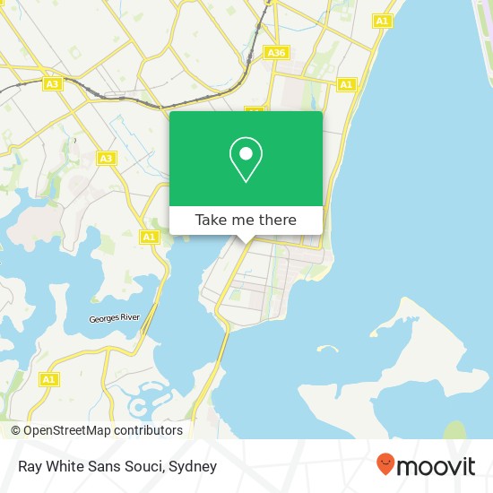 Ray White Sans Souci map