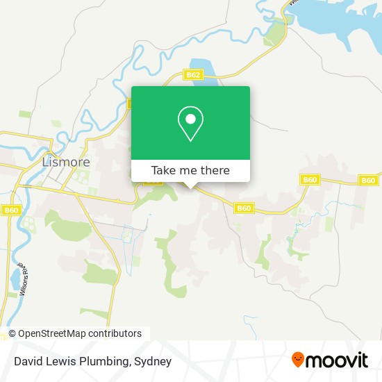 David Lewis Plumbing map