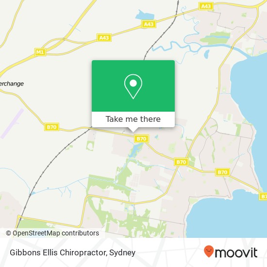 Gibbons Ellis Chiropractor map