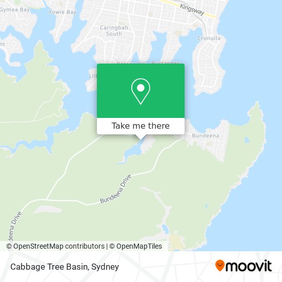 Mapa Cabbage Tree Basin