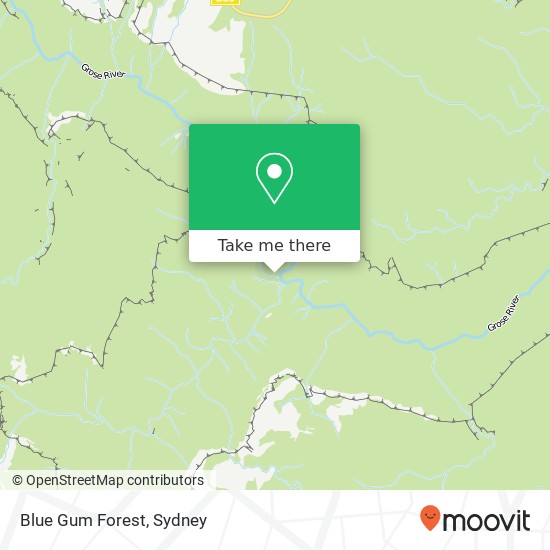 Mapa Blue Gum Forest
