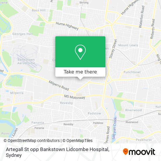 Mapa Artegall St opp Bankstown Lidcombe Hospital