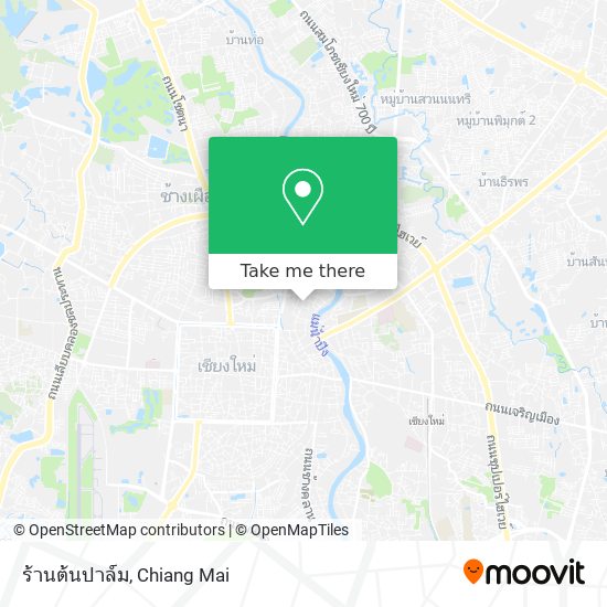 ร้านต้นปาล์ม map