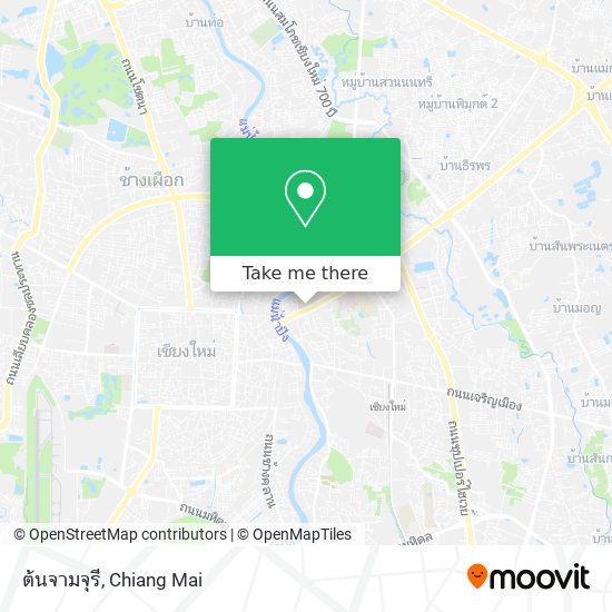 ต้นจามจุรี map