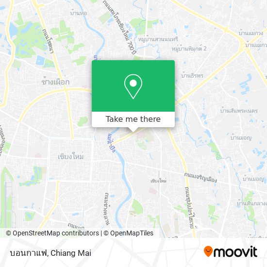 บอนกาแฟ map