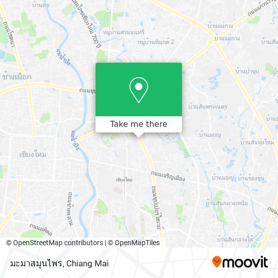 มะมาสมุนไพร map