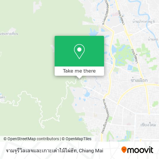 จามจุรีวิลเลจและเกาะเต่าไม้ไผ่ฮัท map