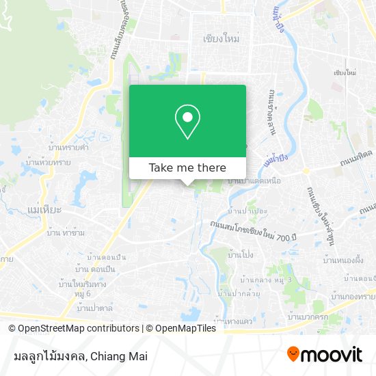 มลลูกไม้มงคล map