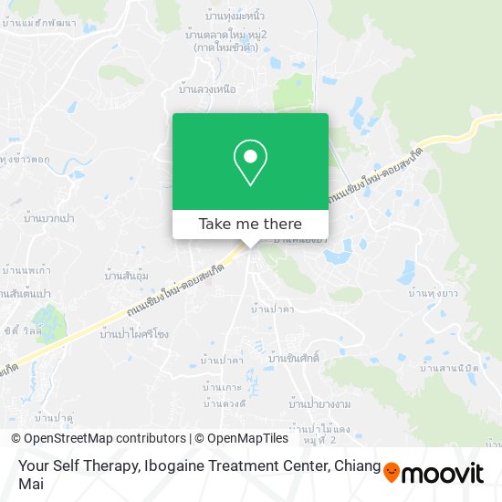 Your Self Therapy, Ibogaine Treatment Center map