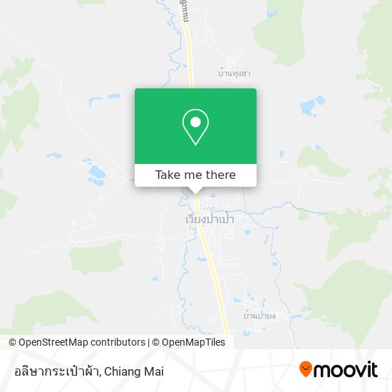 อลิษากระเป๋าผ้า map