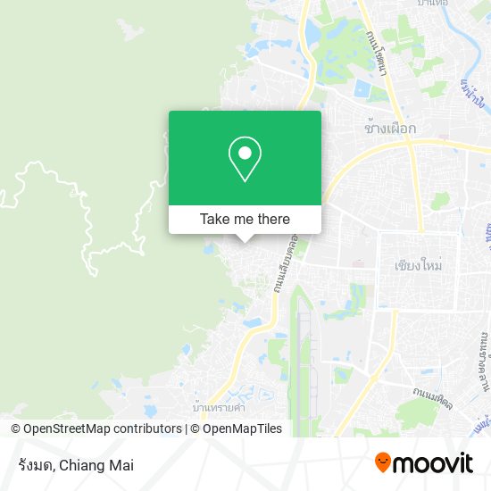 รังมด map