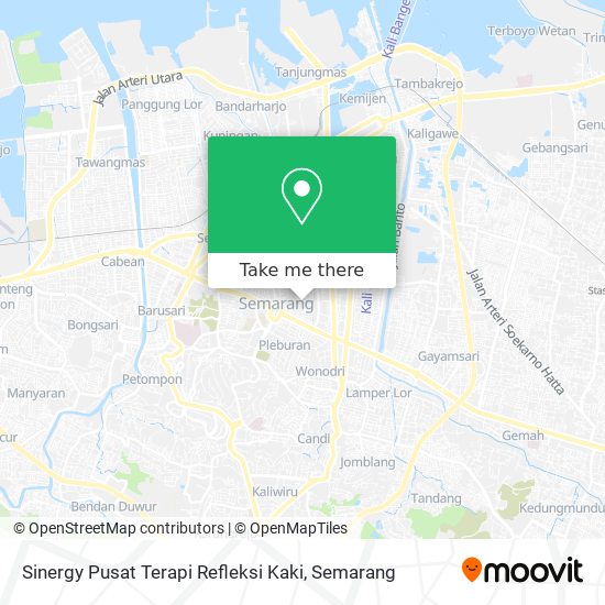 Sinergy Pusat Terapi Refleksi Kaki map