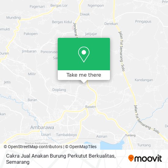 Cakra Jual Anakan Burung Perkutut Berkualitas map