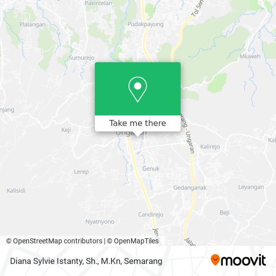 Diana Sylvie Istanty, Sh., M.Kn map