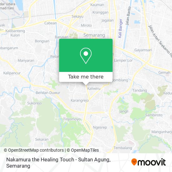 Nakamura the Healing Touch - Sultan Agung map