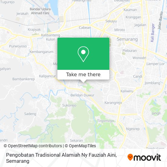Pengobatan Tradisional Alamiah Ny Fauziah Aini map