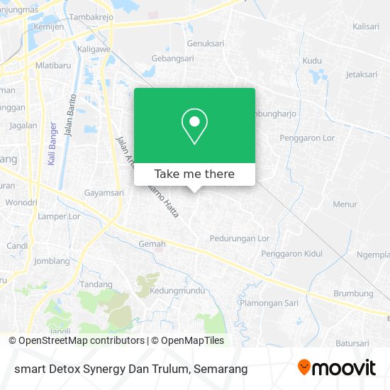 smart Detox Synergy Dan Trulum map