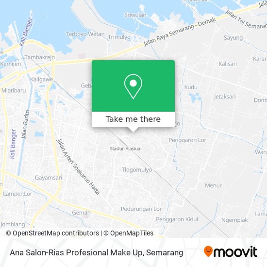 Ana Salon-Rias Profesional Make Up map