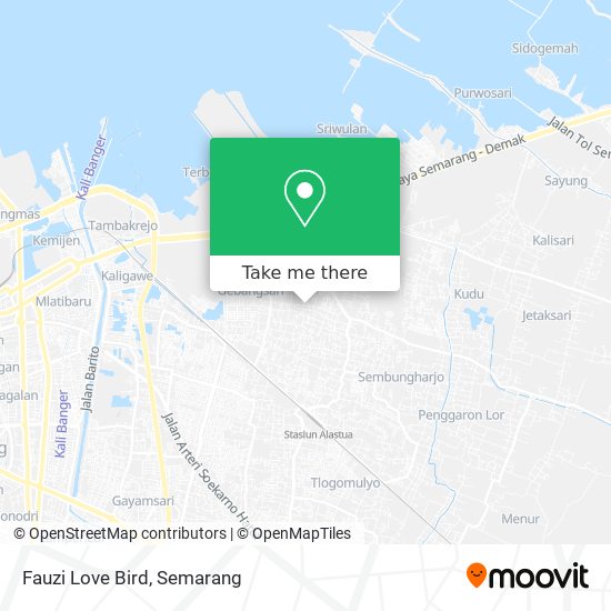 Fauzi Love Bird map