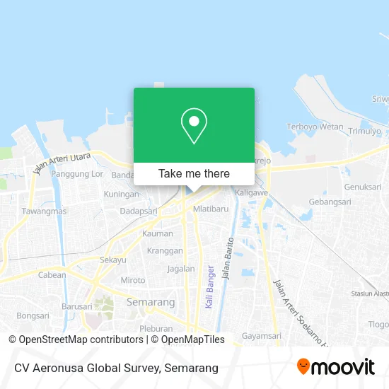 CV Aeronusa Global Survey map