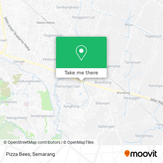 Pizza Bees map