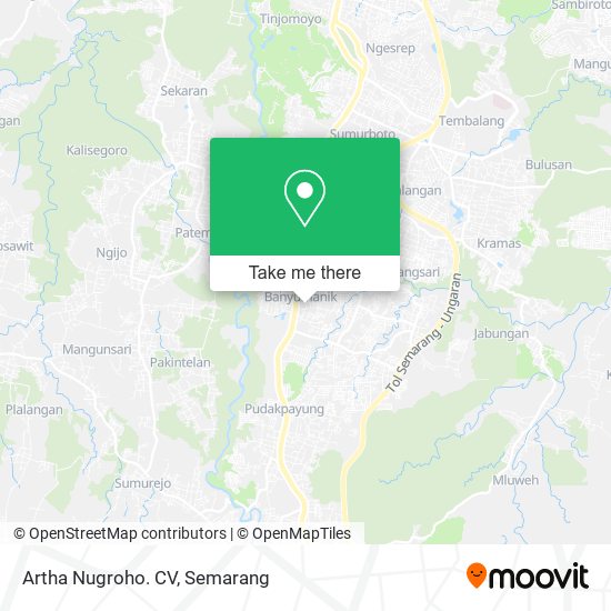 Artha Nugroho. CV map