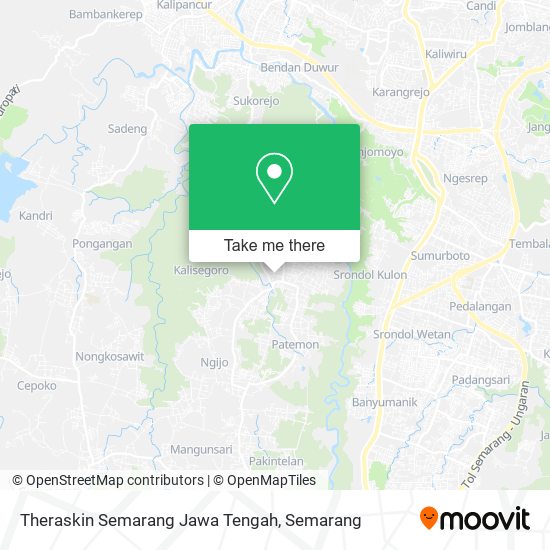 Theraskin Semarang Jawa Tengah map