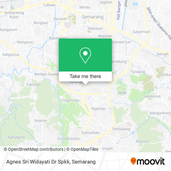 Agnes Sri Widayati Dr Spkk map