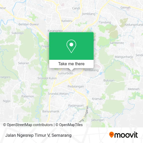 Jalan Ngesrep Timur V map