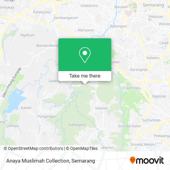 Anaya Muslimah Collection map