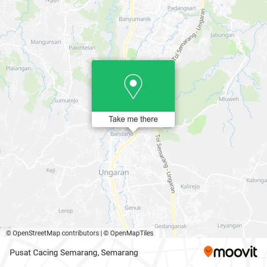 Pusat Cacing Semarang map