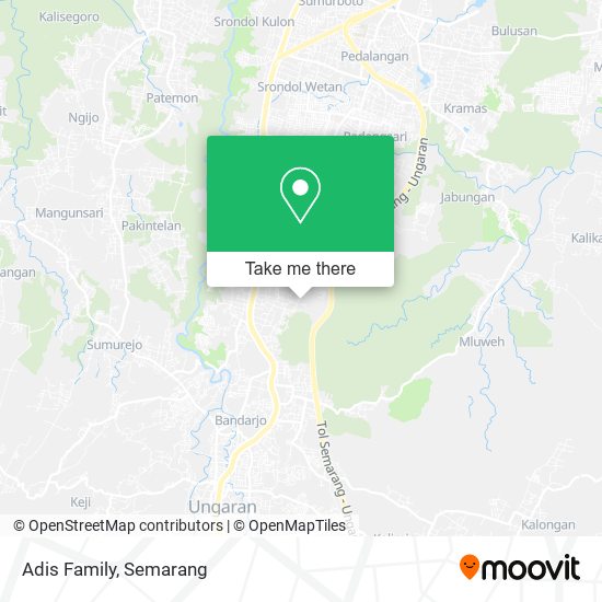 Adis Family map