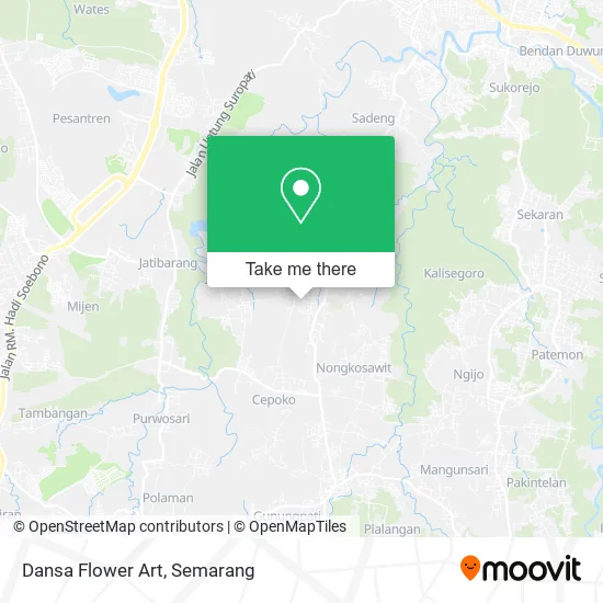 Dansa Flower Art map